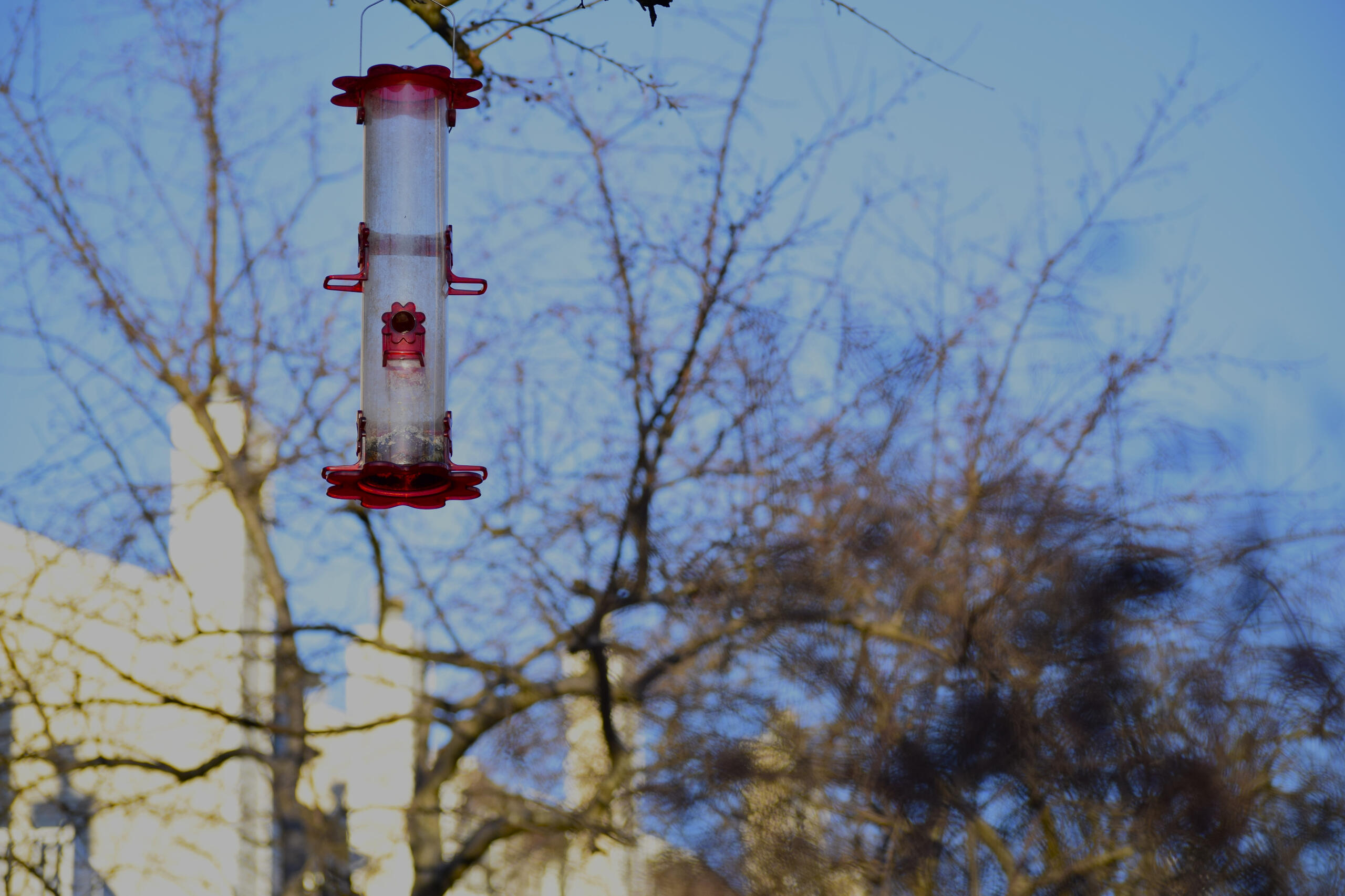 A place for birds to eat whenever they want to eat and relax.